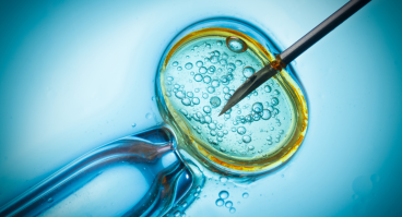 In vitro fertilization image
