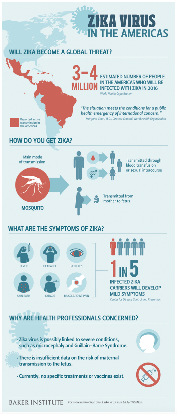 This infographic provides details about the Zika Virus in the Americas.