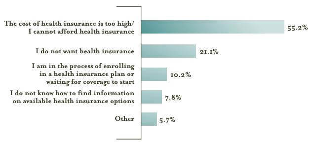 Primary Reason Low Income Workers Remain Uninsured, March 2015