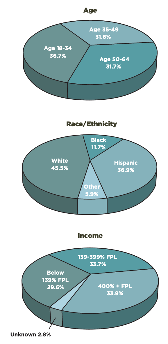 These graphs compare age, race/ethnicity, and income of survey participants.