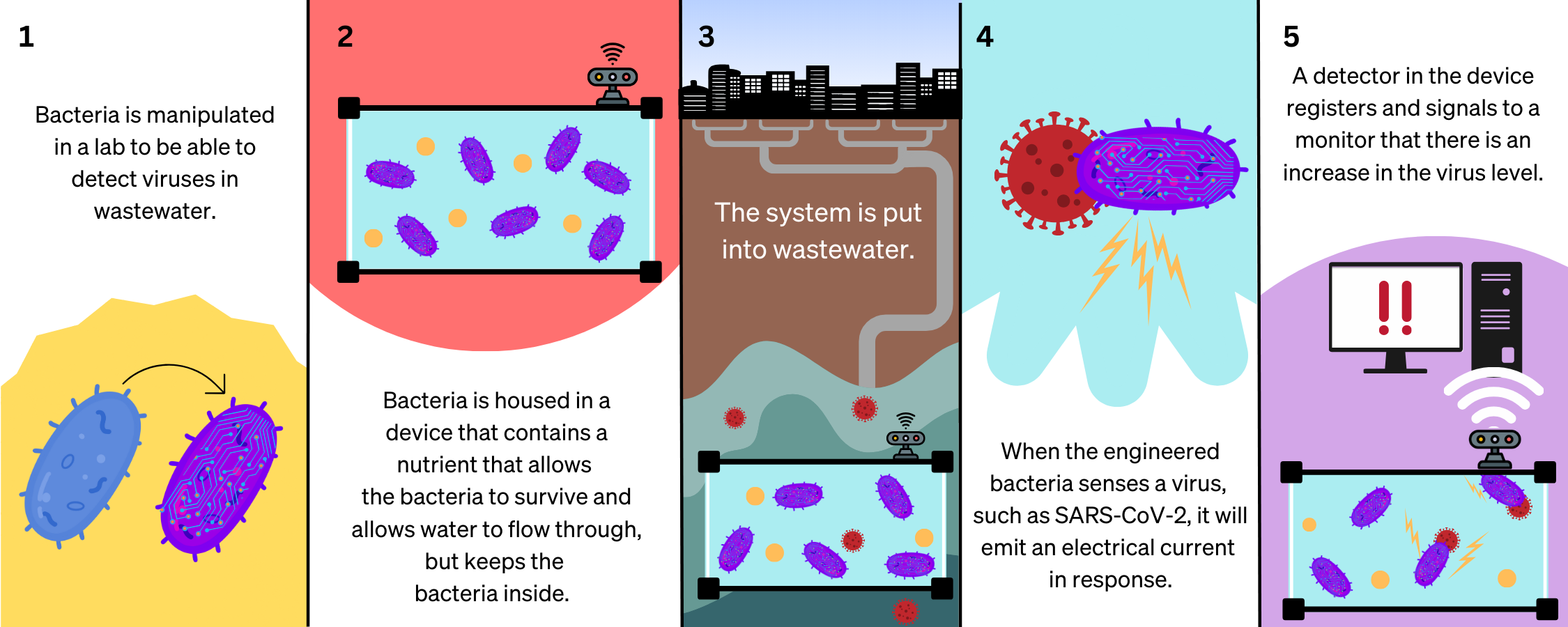 Bacteria Wastewater