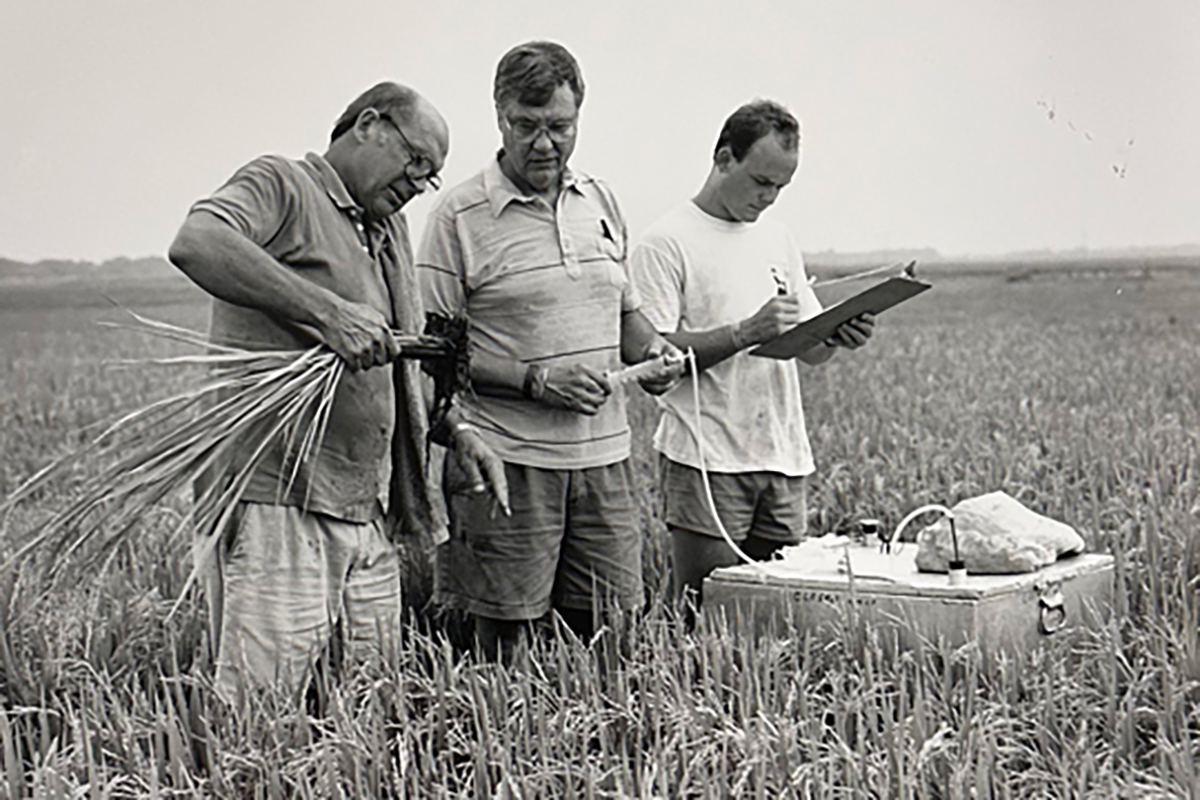 From left, Rice professors Frank Fisher and Ron Sass and graduate student Peter Adams measuring methane production in a rice field near Beaumont, Texas, in 1990. 