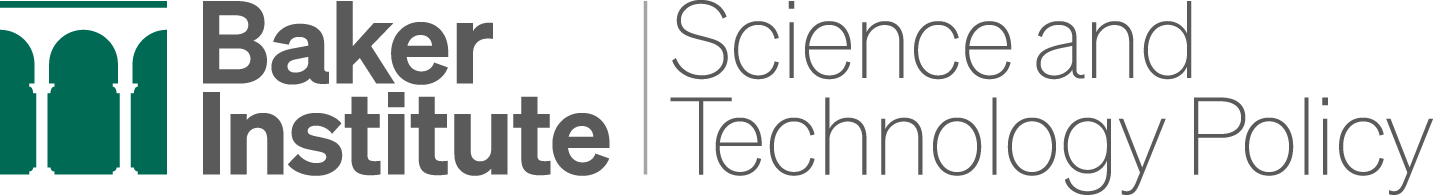 BIPP_S&T_Logo