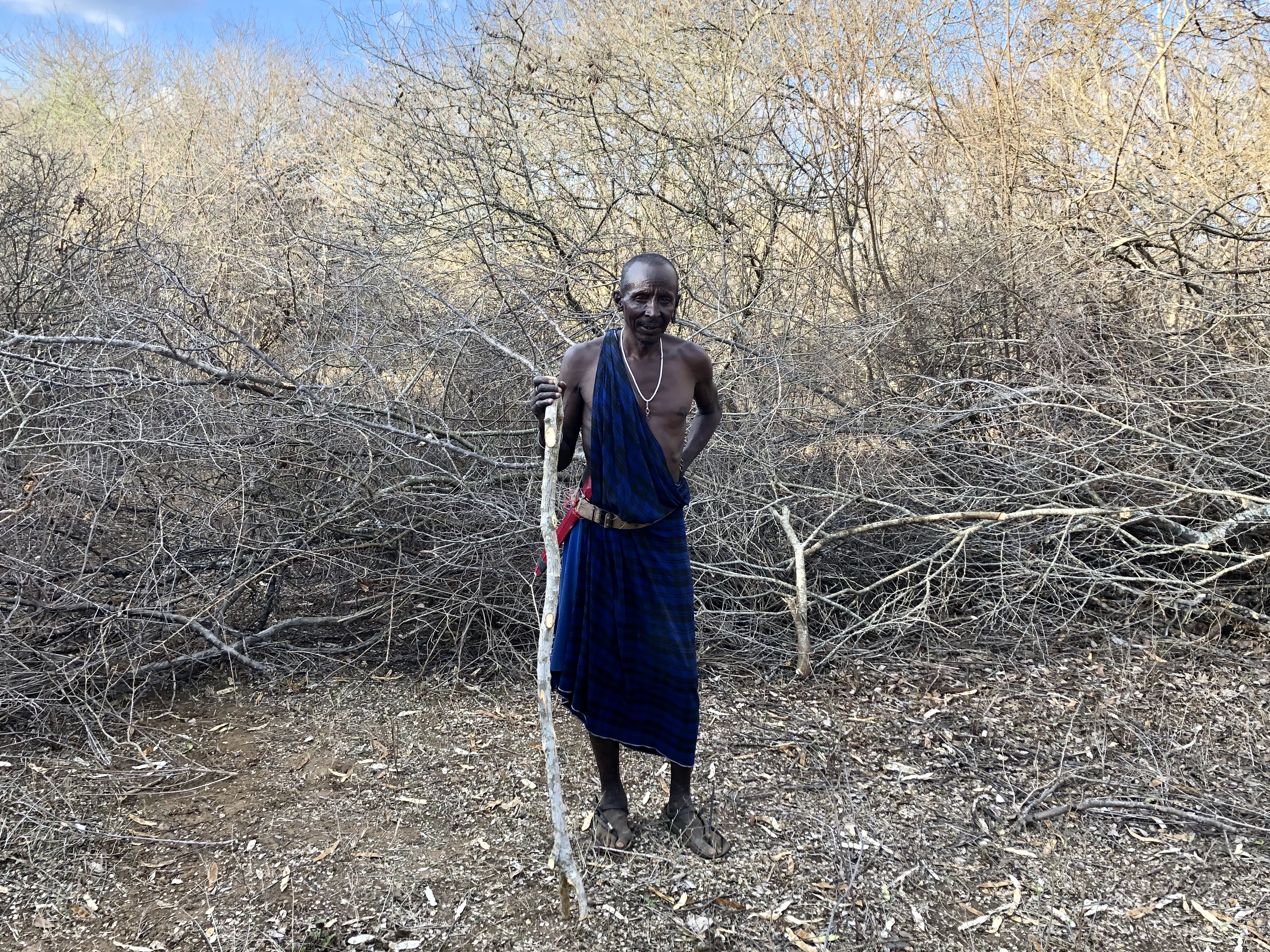 Figure 1 — Maasai Elder Demonstrates a Cow Enclosure for Wildlife Protection