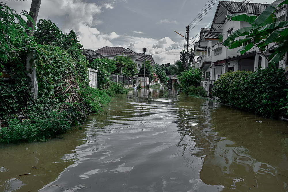 AdobeStock_218787659_NDRGen_WEB