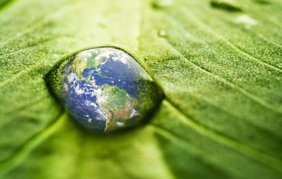 A reflection of Planet Earth appears on a water drop on a leaf.