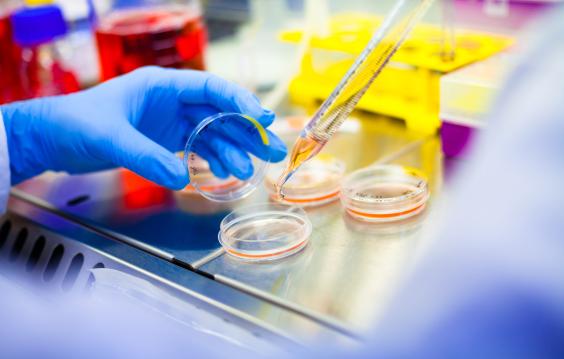 Gloved hand with pipette in lab setting