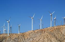 A wind farm.