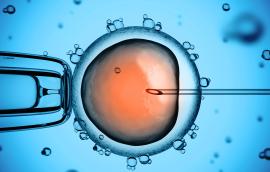 A needle poking a human cell.