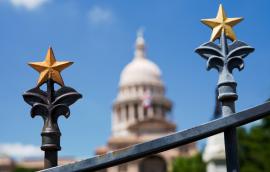 A star design on a gate, with the Texas State Capitol building in the background.