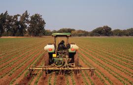 A tractor fertilizes crops.