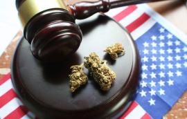 Marijuana+Law