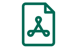 Icon: PDF symbol on page