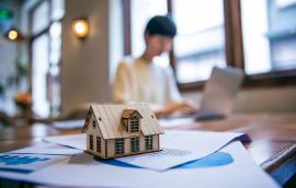 Property Taxes