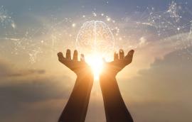Brain and migration connections