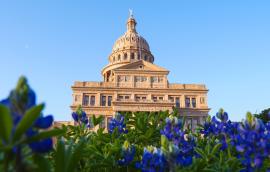 Texas capitol in bloom