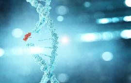 DNA strand being altered