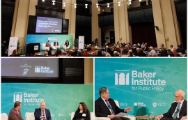 Collage of the event. 
