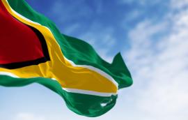 Close-up view of the Guyana national flag waving in the wind 