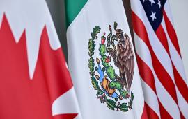 North American flags 