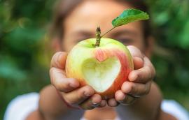 A child eats an apple in the garden.
