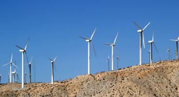 A wind farm.