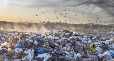 Pile of trash