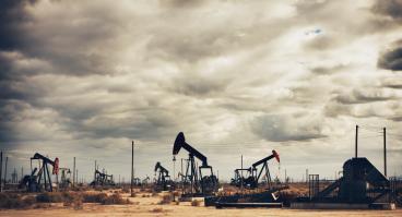 Many oil pumps at work in a field.