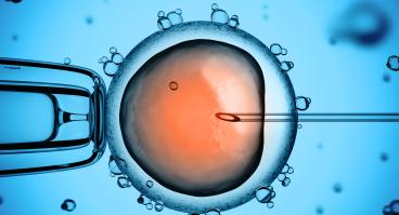 A needle poking a human cell.