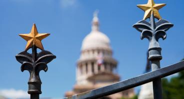 A star design on a gate, with the Texas State Capitol building in the background.