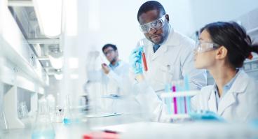 Scientists analyze test tube samples in a lab.