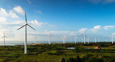 A wind farm.