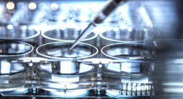 Stem cell pipette