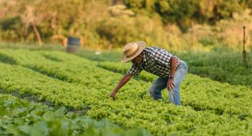 Farm Worker