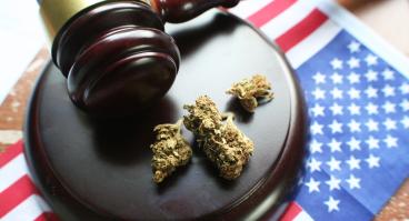 Marijuana+Law