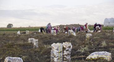 Agricultural workers