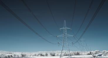 Icy powerline