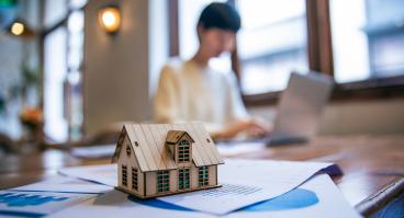 Property Taxes