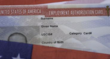 Employment Visa