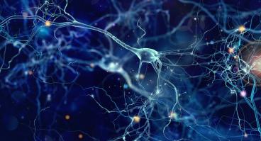 Brain health