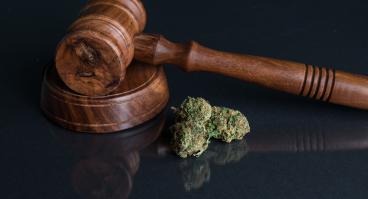 Marijuana Law 