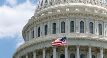 Capitol flag