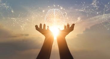 Brain and migration connections
