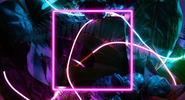 Neon square frame on a dark florlal background