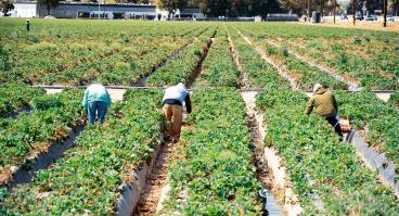 Migrant+Workers