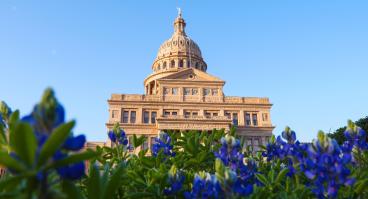 Texas capitol in bloom