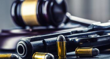 gun, bullets and gavel