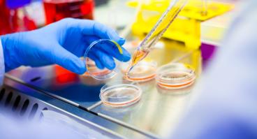 Gloved hand with pipette in lab setting