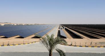 solar panels in desert with palm tree in foreground