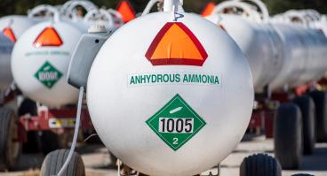 Rows of tanks filled with ammonia